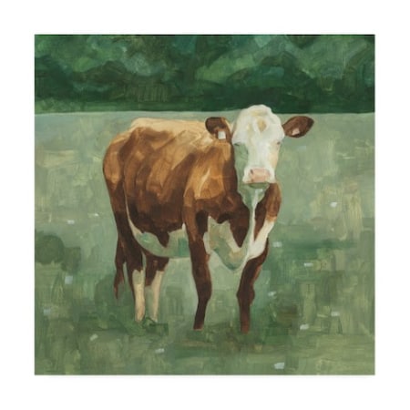 Trademark Fine Art Emma Scarvey 'Hereford Cattle I' Canvas Art, 18x18 WAG13570-C1818GG